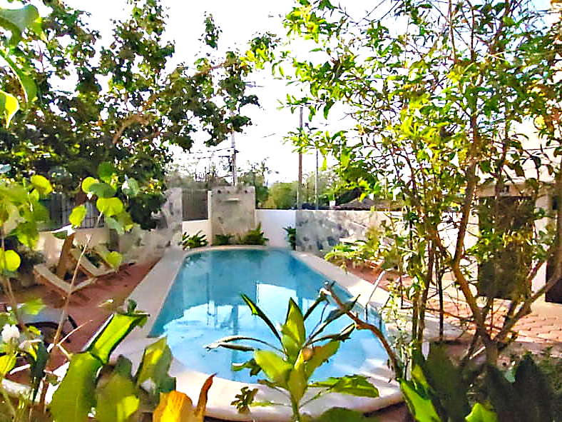 La alberca entre las plantas del jardín